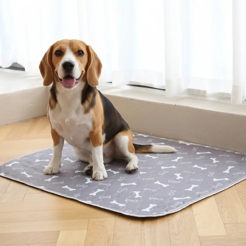 SnoozPaw™ Pup Pad | The Pad Your Dog Actually Uses